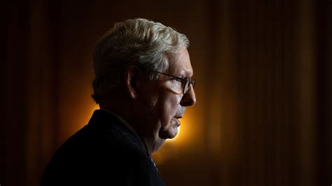 Mitch McConnell: Capitol rioters 'provoked' by Donald Trump | US News ...