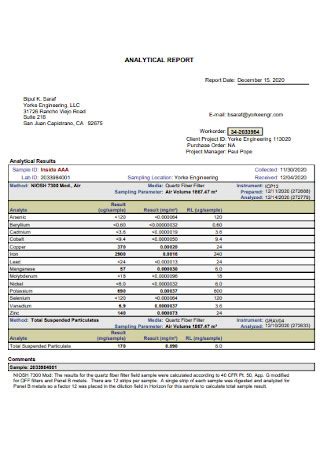 18+ SAMPLE Analytical Reports in PDF | MS Word | Google Docs | Apple Pages