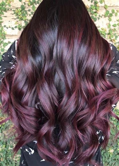 Awesome Plum Hair Color Ideas & Shades for 2019 | Plum hair, Hair color plum, Winter hair color