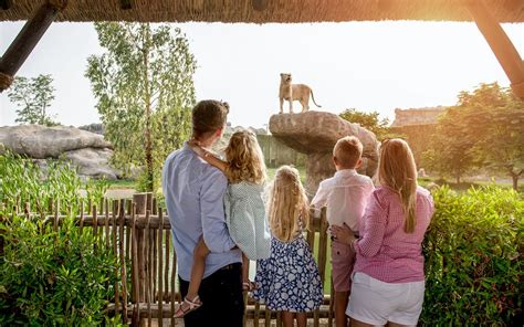 Dubai Safari Park Tickets | 2500 Animals with All-zone Access