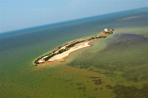 Deserted Places: Holland Island in the Chesapeake Bay