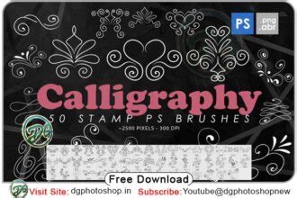 CALLIGRAPHY PHOTOSHOP PNG & BRUSHES - DGPik