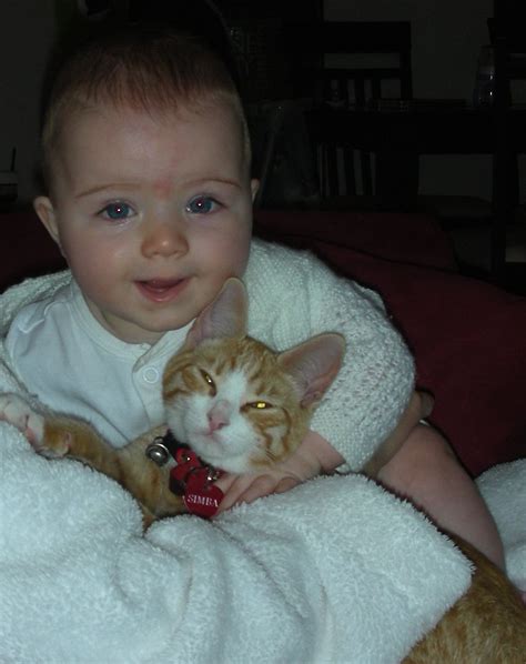 Baby & cat | Cats and kittens, Cats, Baby cats