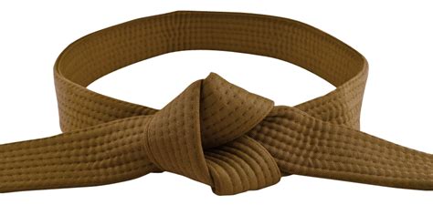 Brown Belt – Sunnyvale Martial Arts Academy