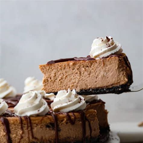 Baileys Cheesecake Recipe | The Recipe Critic