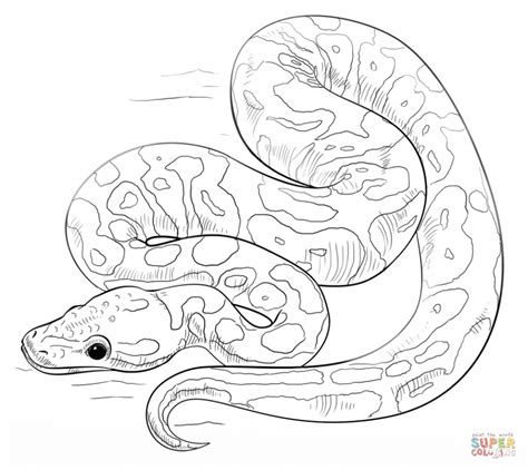 Get This Free Snake Coloring Pages 34753