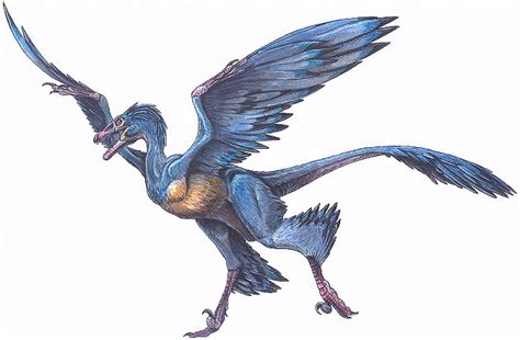 Microraptor | Dinosaur Wiki | Fandom