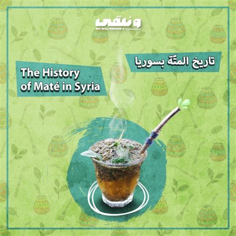 The History of Maté in Syria - Wanabqa