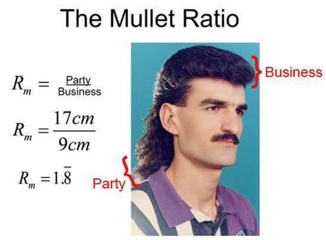 The best Mullet memes :) Memedroid