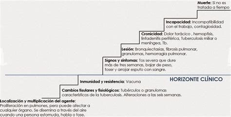 UdcaMediBlog Anz: Historia Natural de la Tuberculosis Pulmonar