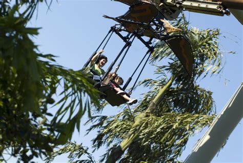 Pteranodon Flyers | Universal's Islands of Adventure Discount Tickets