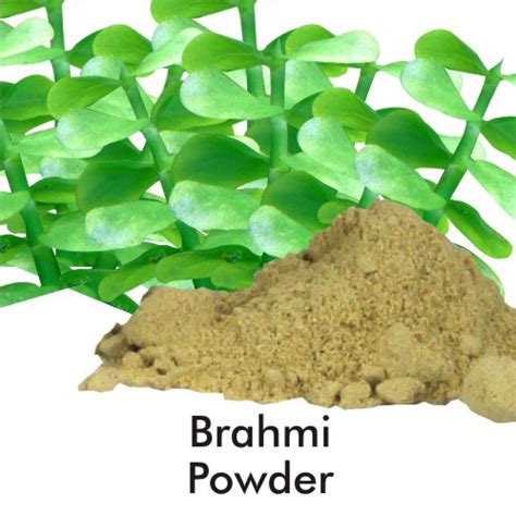 Buy BRAHMI POWDER 100gm Online at Best Price in India - Om Health Cart