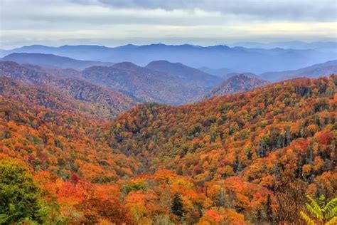 3 Fun Ideas for a Day Trip in the Smoky Mountains in Fall