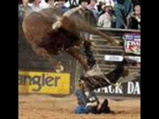 Watch TV Shows Video Online Free: Watch Lane Frost Death Video Stream,lane frost death video ...