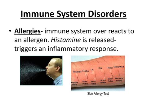 The Immune System Topic ppt download