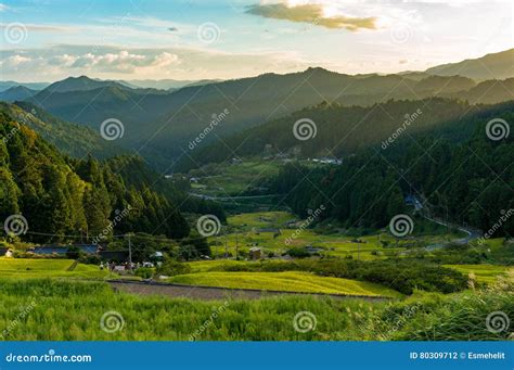 Japanese Countryside Rice Field Stock Photo | CartoonDealer.com #79092606