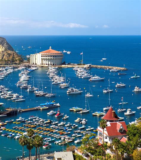 Catalina Island: Southern California's Ecotourism Playground