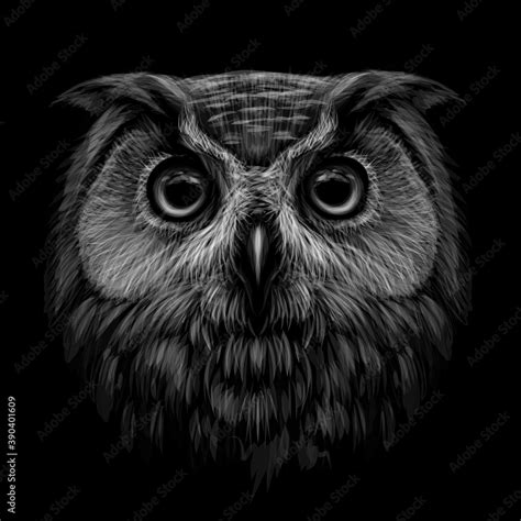 Black Owl Drawing