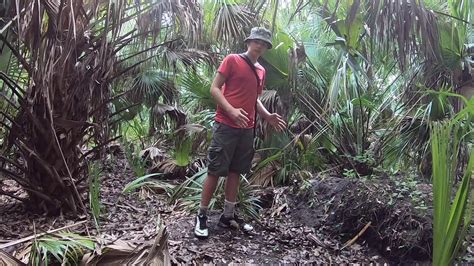 Hiking to an Ancient Florida Indian Shell Midden - YouTube