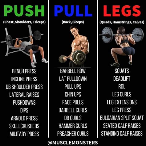 Create Your Own Push/Pull/Legs Routine 1. Choose 2-3 exercises per muscle group.2. Perform 3-5 s ...