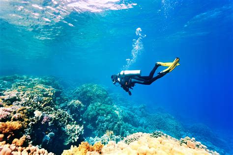 6 Best Places for Scuba Diving in Andaman (2019) - The Land of Beauty