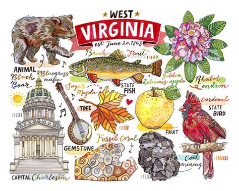 West Virginia Print, State Symbols, Illustration, Map, Charleston, Bluegrass, the Mountain State ...