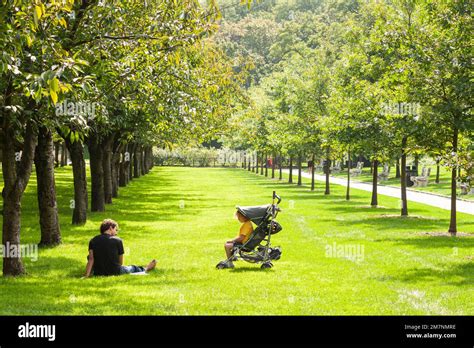 Father and son expending quality time at the Cherry Esplanade Brooklyn ...