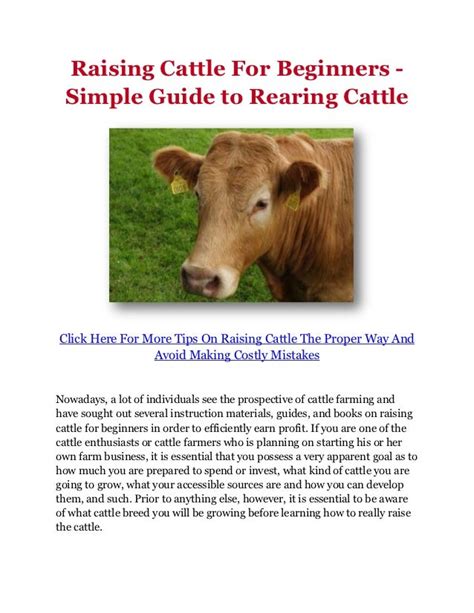 Raising Cattle For Beginners - Simple Guide to Rearing Cattle