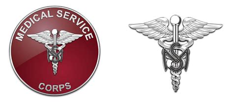 The Medical Service Corps consists entirely of commissioned and warrant officers. Members are ...