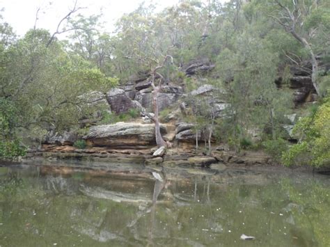 Georges River – Trail Maze