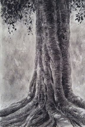 Charcoal Drawings Of Trees