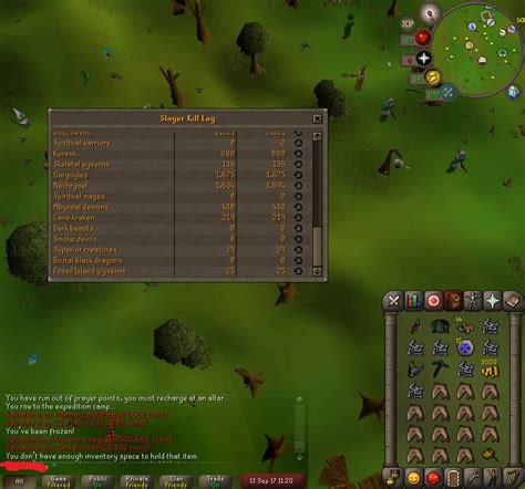 Wyvern visage on first fossil island wyvern slayer task : r/2007scape