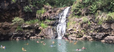 Waimea Valley and Waimea Falls – One of the Best Easy Hikes in Oahu – HomeyHawaii