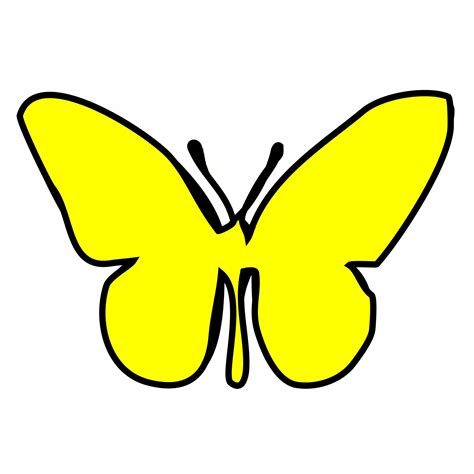 Yellow Butterfly Free Stock Photo - Public Domain Pictures