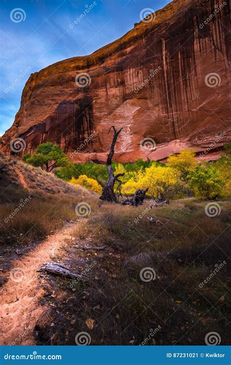 Coyote Gulch Hiking Trail Fall Colors Stock Image - Image of natural, staircase: 87231021