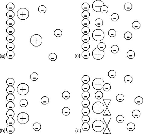 A schematic view of the effect of monovalent anions on the binding of a ...