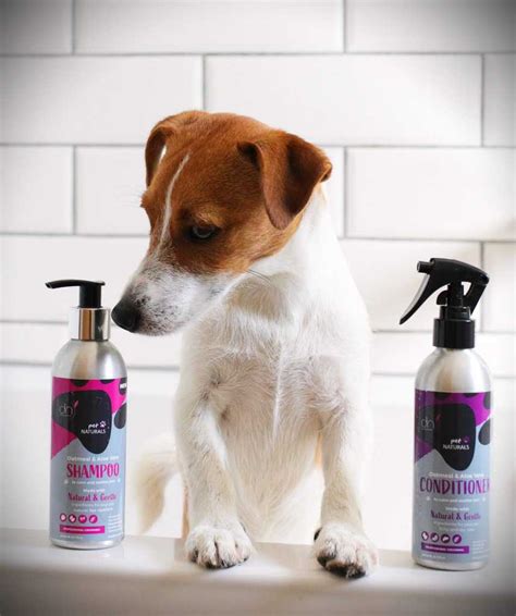 DERMANATURAL - Organic Dog Grooming Products | Dotty4Paws