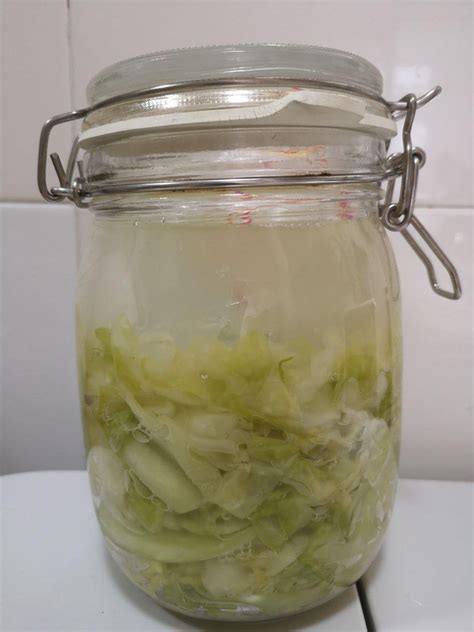 After the first night of fermentation | Sauerkraut : r/fermentation