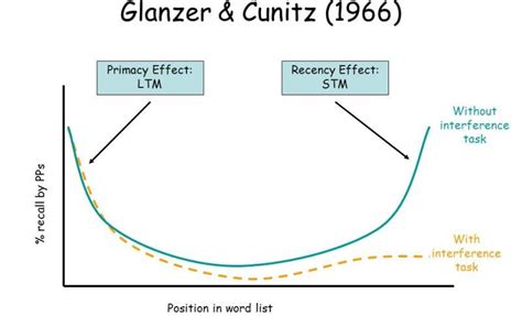 11 Serial Position Effect Examples in Real Life – StudiousGuy