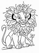 Free Printable Simba Coloring Pages For Kids sketch template