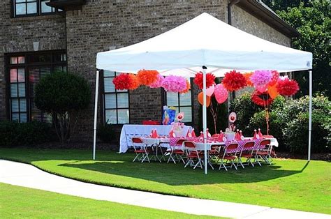 Tissue poms in pink, red, and orange | Elmo birthday party, Party tent decorations, Outside birthday