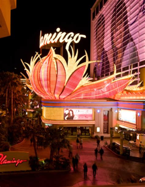 The Flamingo Hotel & Casino Photos | Budget Travel