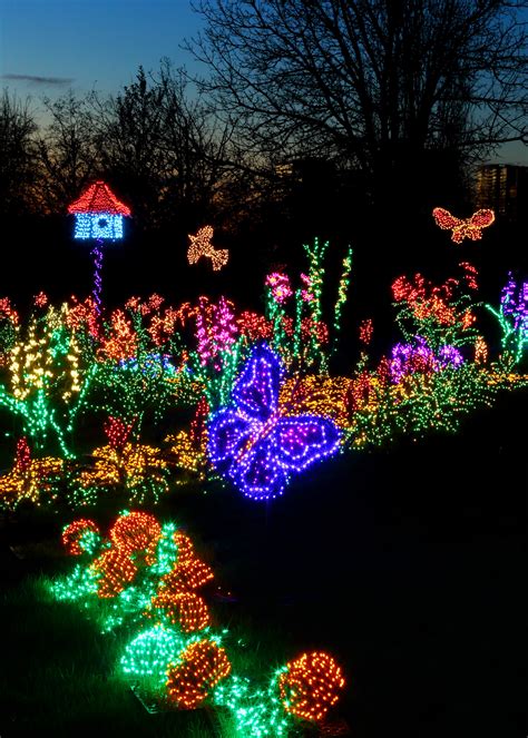 Botanical Gardens Christmas Lights 2025 - Ericka Arabella