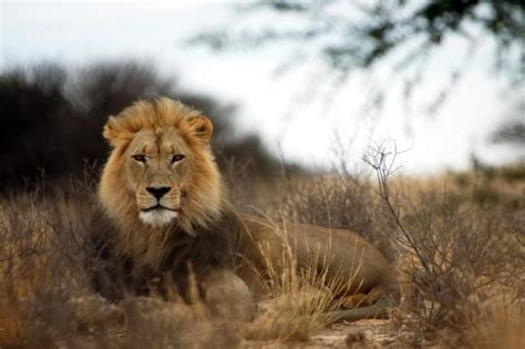 Wildlife and Humans Fight for the Land of Sudan's National Park - Sudan ...