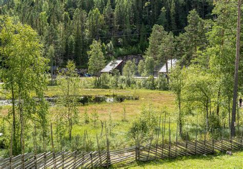 Getting to the Bear Park, in Flå, Norway, by car and train. Bjorneparken