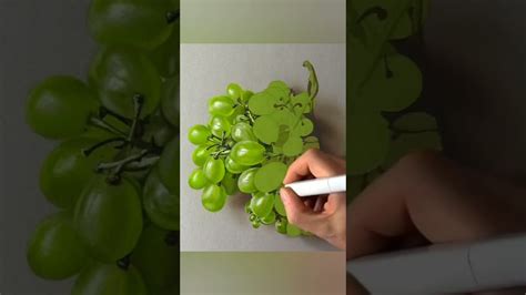 grapes 🍇 art drawing painting realistic drawing#drawing #painting # ...