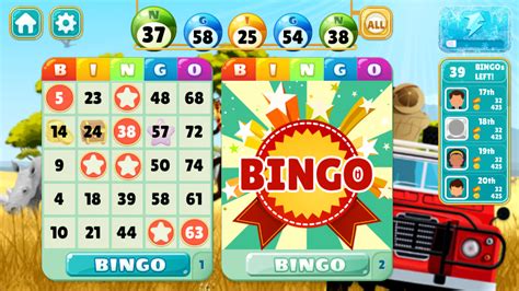 All About Bingo