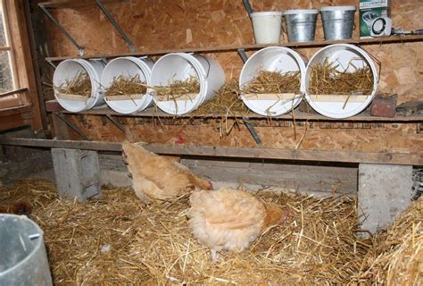 6 Creative Chicken Nesting Box Ideas - The Owner-Builder Network