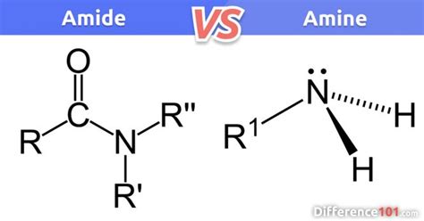 👩🏻‍🔬 Amide vs Amine: 6 Key Differences, Similarities, Pros & Cons | Difference 101