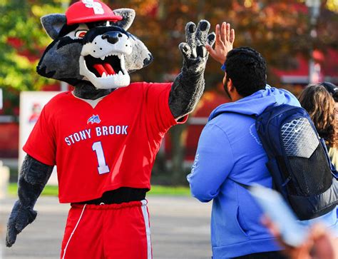 Vote for Wolfie in the 2019 Mascot Madness Competition - SBU News